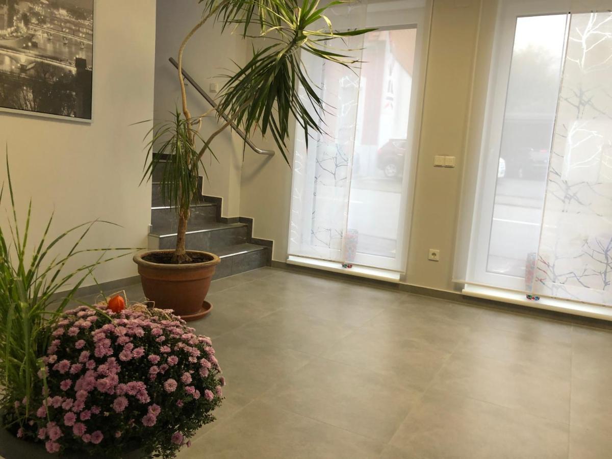 ホテル Gaestehaus Residenz Aurora Friedrichsthal エクステリア 写真